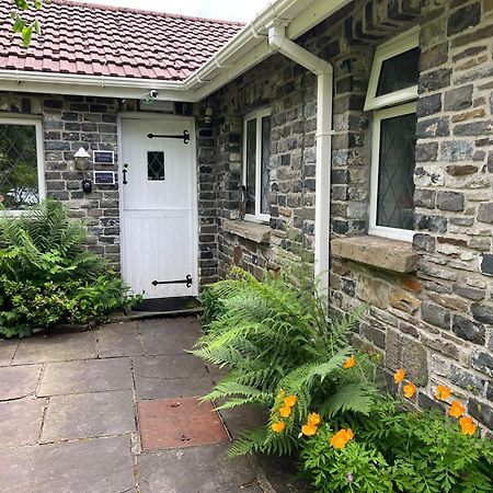 Cwmbach Guest House Neath Εξωτερικό φωτογραφία