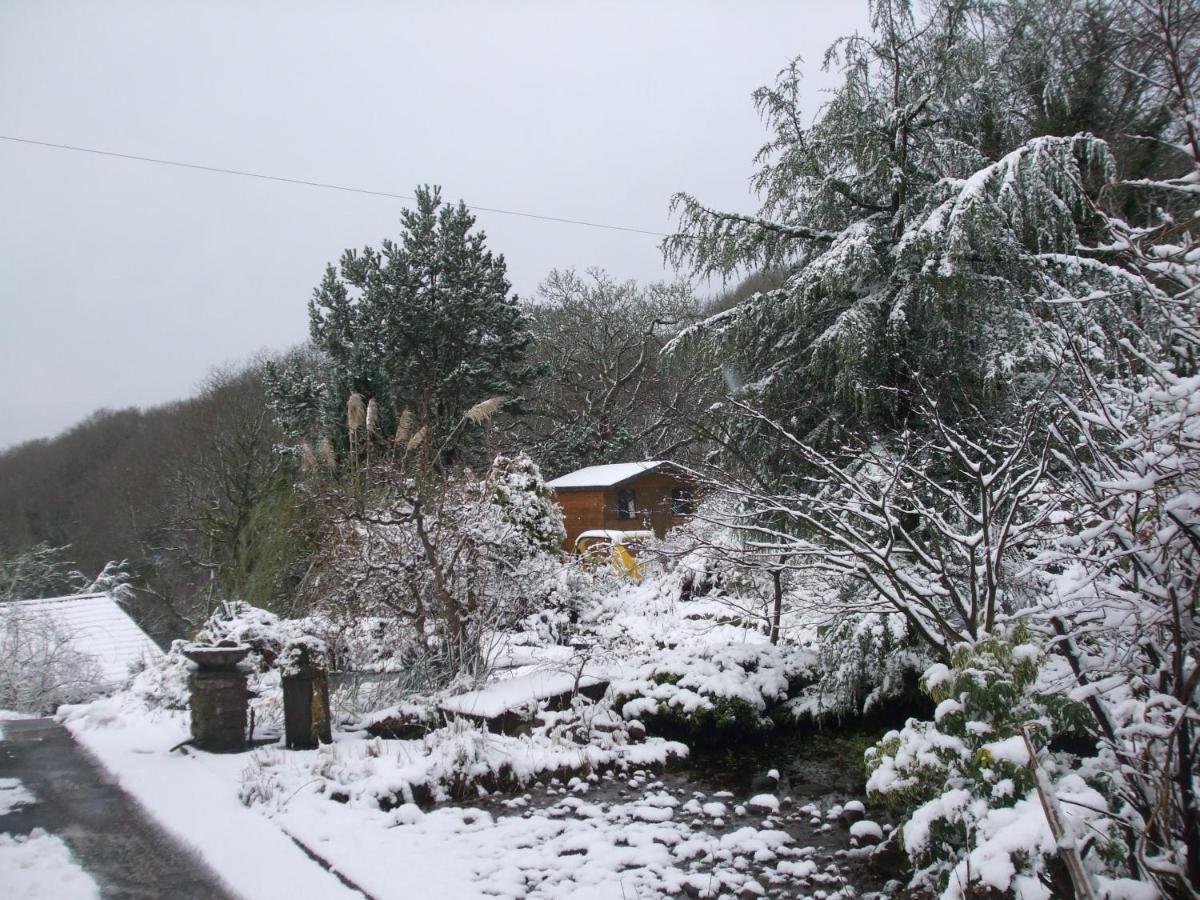 Cwmbach Guest House Neath Εξωτερικό φωτογραφία
