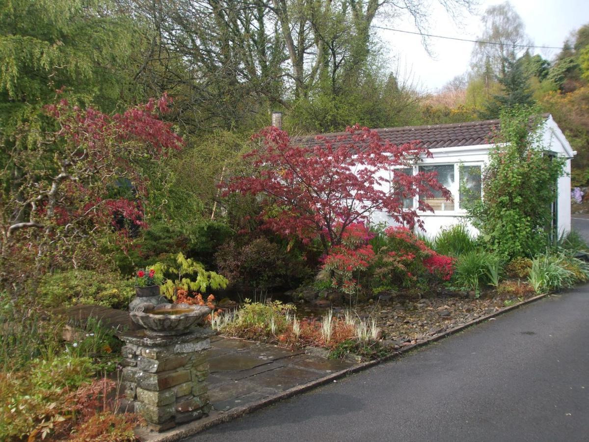 Cwmbach Guest House Neath Εξωτερικό φωτογραφία