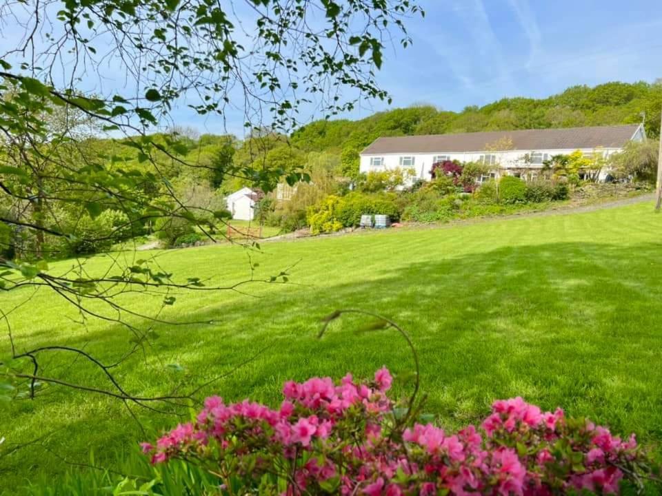 Cwmbach Guest House Neath Δωμάτιο φωτογραφία