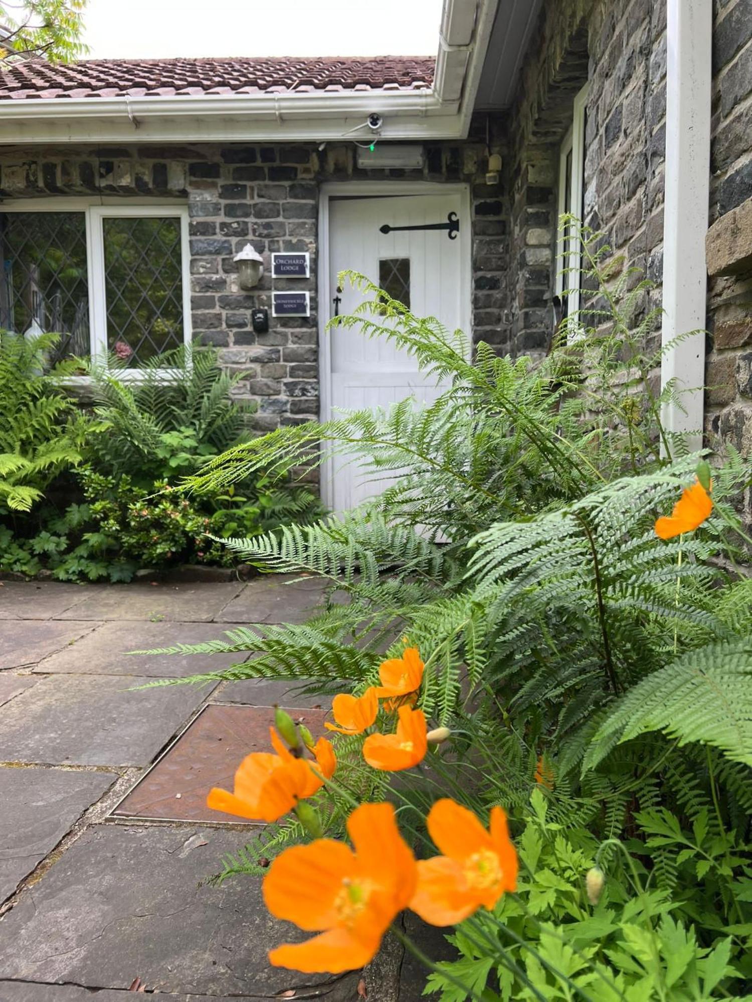 Cwmbach Guest House Neath Εξωτερικό φωτογραφία