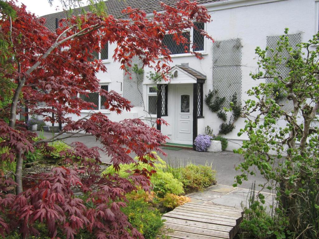 Cwmbach Guest House Neath Εξωτερικό φωτογραφία